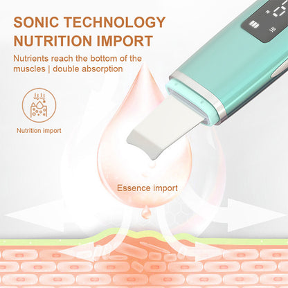Ultrasonic Facial Scrubber Blackhead Remover